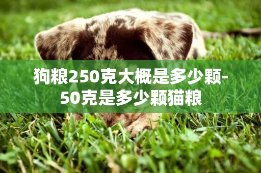 狗糧250克大概是多少顆-50克是多少顆貓糧