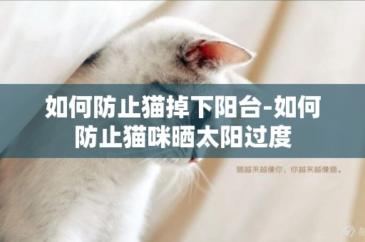 如何防止貓掉下陽臺-如何防止貓咪曬太陽過度