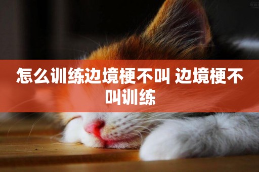 怎么訓練邊境梗不叫 邊境梗不叫訓練