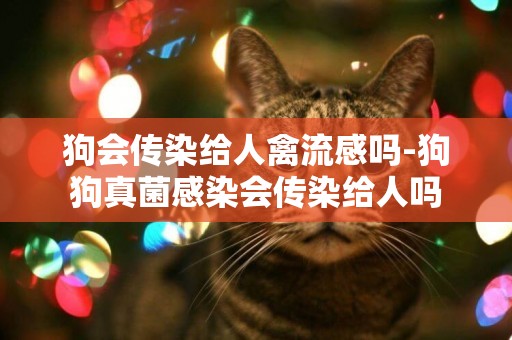 狗會傳染給人禽流感嗎-狗狗真菌感染會傳染給人嗎