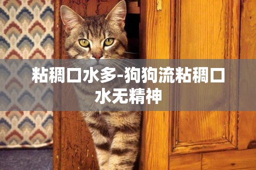 粘稠口水多-狗狗流粘稠口水無精神