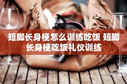 短腳長身梗怎么訓練吃飯 短腳長身梗吃飯禮儀訓練