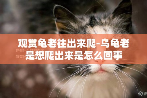 觀賞龜老往出來爬-烏龜老是想爬出來是怎么回事