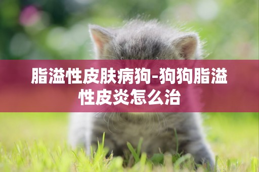脂溢性皮膚病狗-狗狗脂溢性皮炎怎么治