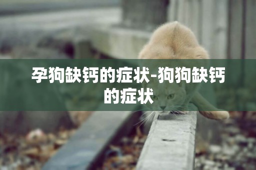孕狗缺鈣的癥狀-狗狗缺鈣的癥狀