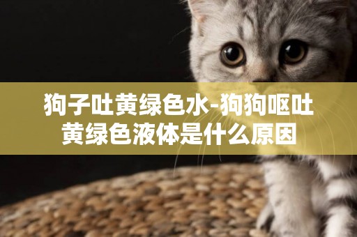 狗子吐黃綠色水-狗狗嘔吐黃綠色液體是什么原因