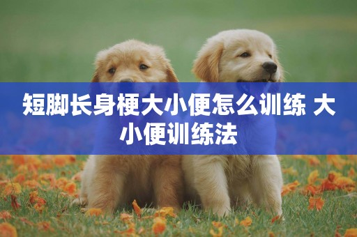 短腳長身梗大小便怎么訓練 大小便訓練法