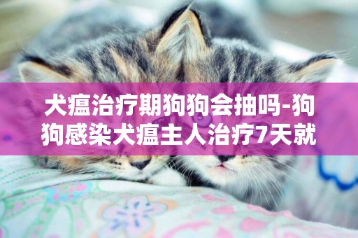 犬瘟治療期狗狗會抽嗎-狗狗感染犬瘟主人治療7天就好了