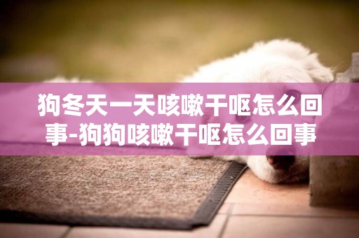 狗冬天一天咳嗽干嘔怎么回事-狗狗咳嗽干嘔怎么回事