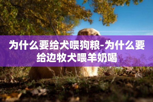 為什么要給犬喂狗糧-為什么要給邊牧犬喂羊奶喝