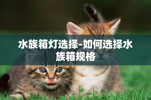 水族箱燈選擇-如何選擇水族箱規格