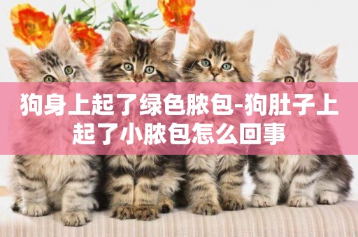 狗身上起了綠色膿包-狗肚子上起了小膿包怎么回事