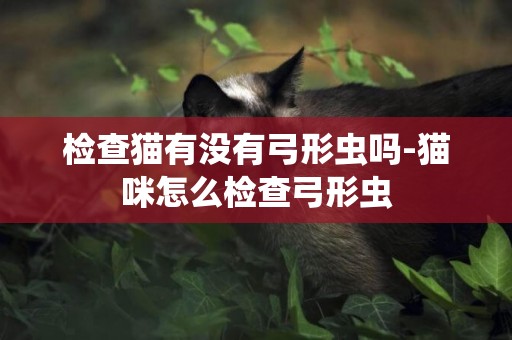檢查貓有沒有弓形蟲嗎-貓咪怎么檢查弓形蟲