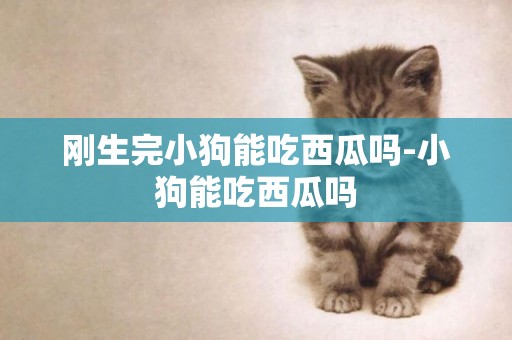 剛生完小狗能吃西瓜嗎-小狗能吃西瓜嗎