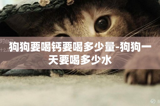 狗狗要喝鈣要喝多少量-狗狗一天要喝多少水