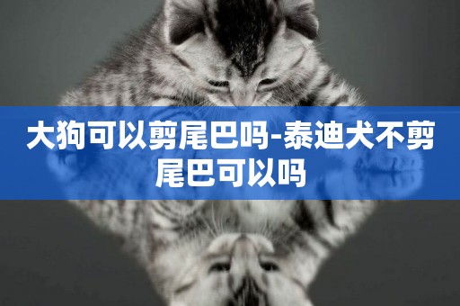 大狗可以剪尾巴嗎-泰迪犬不剪尾巴可以嗎