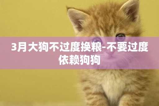 3月大狗不過度換糧-不要過度依賴狗狗