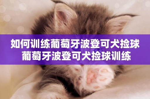 如何訓練葡萄牙波登可犬撿球 葡萄牙波登可犬撿球訓練