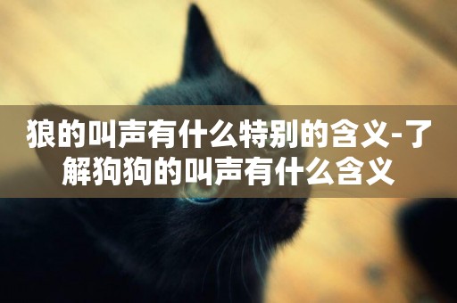 狼的叫聲有什么特別的含義-了解狗狗的叫聲有什么含義