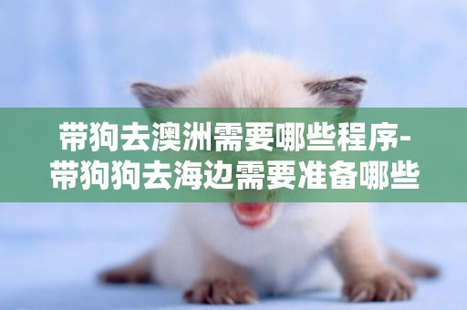 帶狗去澳洲需要哪些程序-帶狗狗去海邊需要準備哪些東西