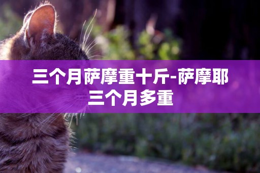 三個月薩摩重十斤-薩摩耶三個月多重