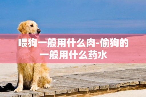 喂狗一般用什么肉-偷狗的一般用什么藥水