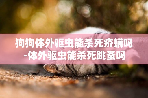 狗狗體外驅蟲能殺死疥螨嗎-體外驅蟲能殺死跳蚤嗎
