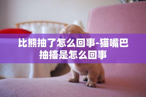 比熊抽了怎么回事-貓嘴巴抽搐是怎么回事