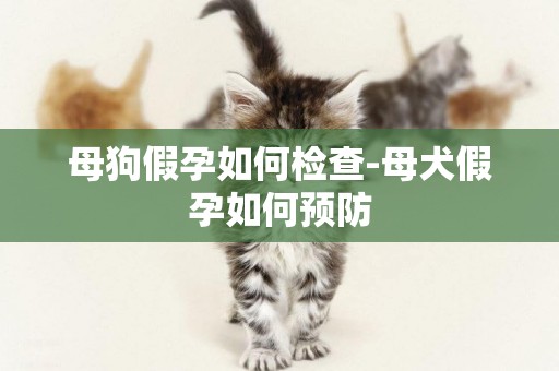 母狗假孕如何檢查-母犬假孕如何預防