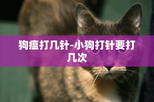 狗瘟打幾針-小狗打針要打幾次