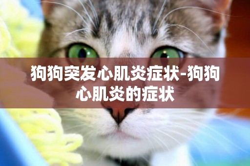 狗狗突發心肌炎癥狀-狗狗心肌炎的癥狀