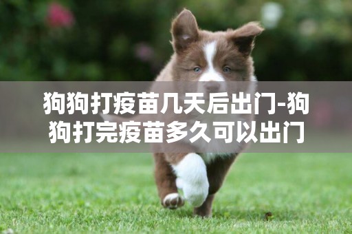 狗狗打疫苗幾天后出門-狗狗打完疫苗多久可以出門