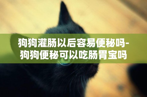 狗狗灌腸以后容易便秘嗎-狗狗便秘可以吃腸胃寶嗎