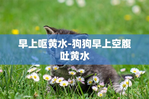 早上嘔黃水-狗狗早上空腹吐黃水