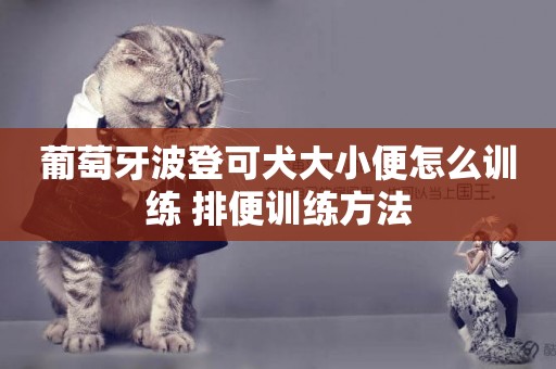 葡萄牙波登可犬大小便怎么訓練 排便訓練方法