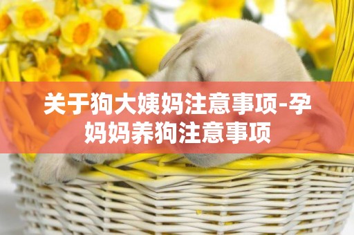 關于狗大姨媽注意事項-孕媽媽養狗注意事項