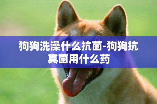 狗狗洗澡什么抗菌-狗狗抗真菌用什么藥