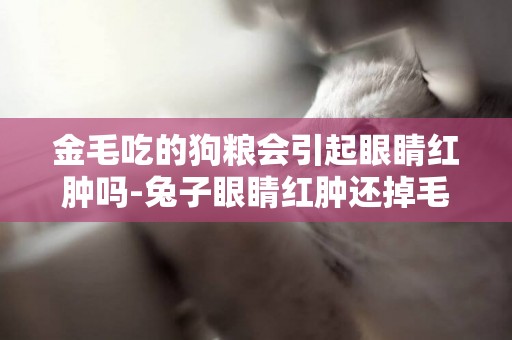 金毛吃的狗糧會引起眼睛紅腫嗎-兔子眼睛紅腫還掉毛會死嗎