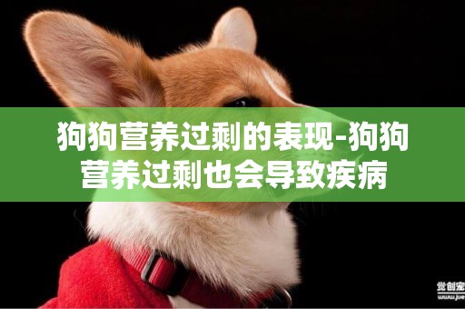狗狗營養過剩的表現-狗狗營養過剩也會導致疾病