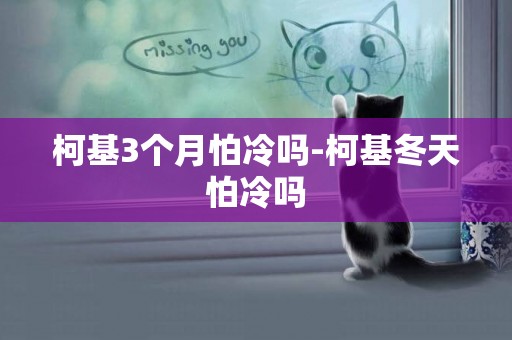 柯基3個月怕冷嗎-柯基冬天怕冷嗎