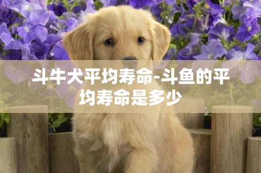 斗牛犬平均壽命-斗魚的平均壽命是多少