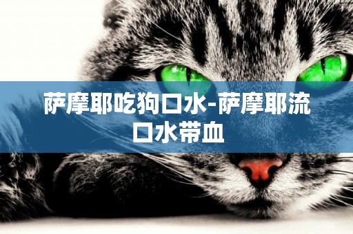薩摩耶吃狗口水-薩摩耶流口水帶血
