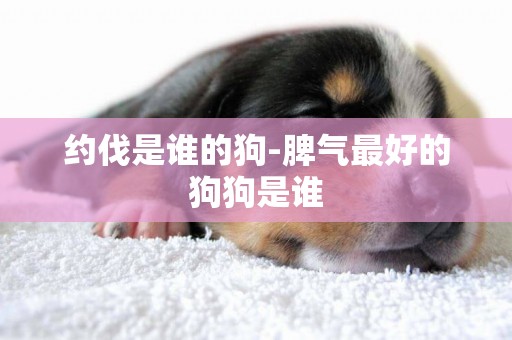 約伐是誰的狗-脾氣最好的狗狗是誰