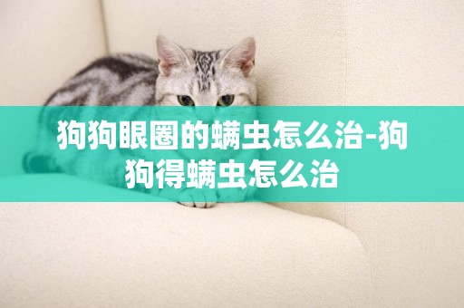 狗狗眼圈的螨蟲怎么治-狗狗得螨蟲怎么治