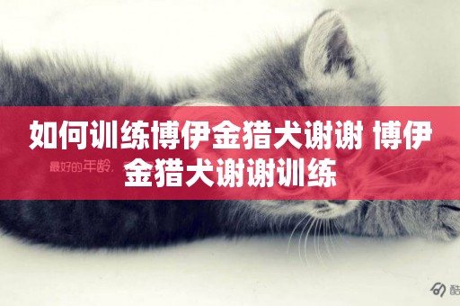 如何訓練博伊金獵犬謝謝 博伊金獵犬謝謝訓練