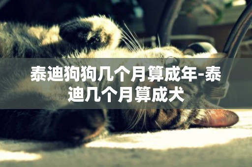 泰迪狗狗幾個月算成年-泰迪幾個月算成犬