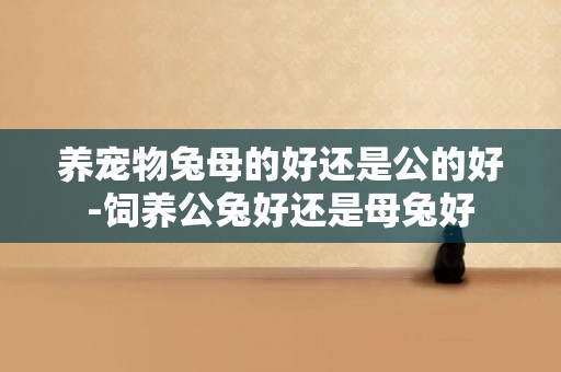 養寵物兔母的好還是公的好-飼養公兔好還是母兔好
