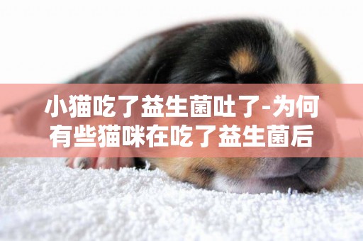 小貓吃了益生菌吐了-為何有些貓咪在吃了益生菌后