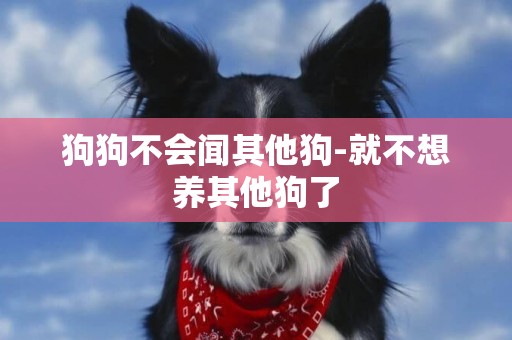 狗狗不會聞其他狗-就不想養其他狗了