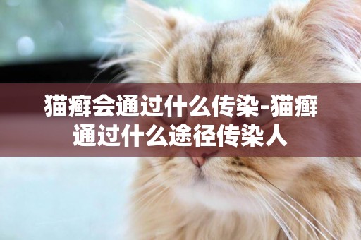 貓癬會通過什么傳染-貓癬通過什么途徑傳染人